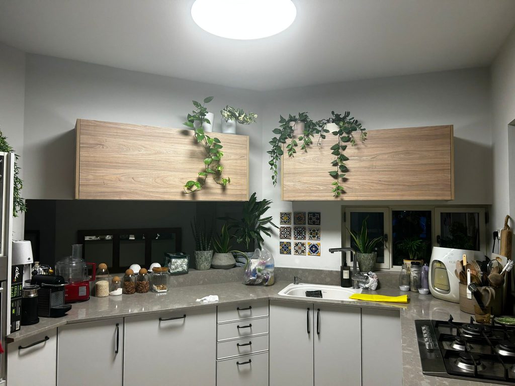 תמונה של WhatsApp‏ 2024-09-22 בשעה 20.56.42_6ab82d6e